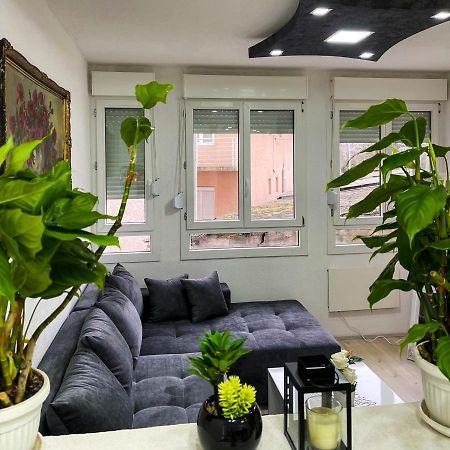 Apartment Tatjana Kragujevac Luaran gambar
