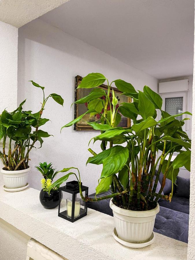 Apartment Tatjana Kragujevac Luaran gambar